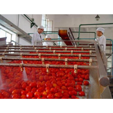 Barisan pengeluaran sos tomato